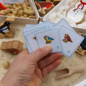 Vogels Voeren