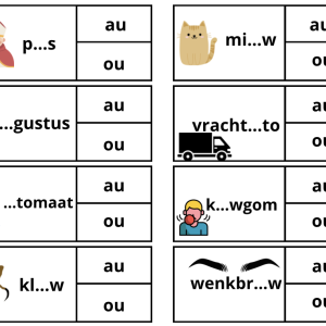 Spel knijpkaarten au/ou woorden (zelfcorrigerend)