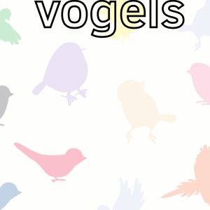 Werkboekje Vogels - Staal 2