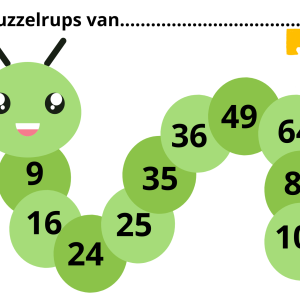 Puzzelrups